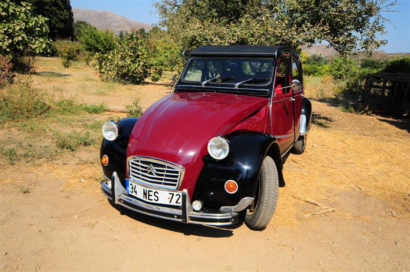 DSC_7294 (Medium).JPG