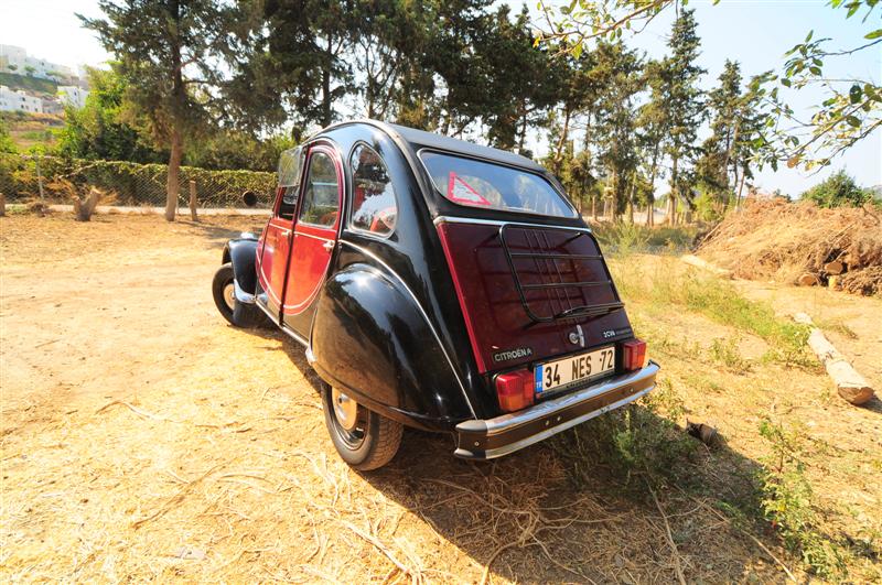 DSC_7307 (Medium).JPG