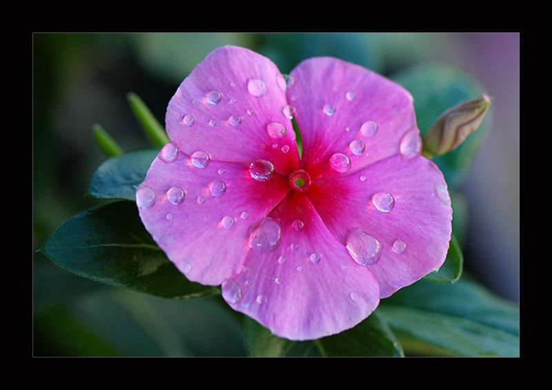 DSC_7558.jpg