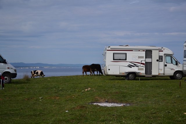 DSC_7571.JPG