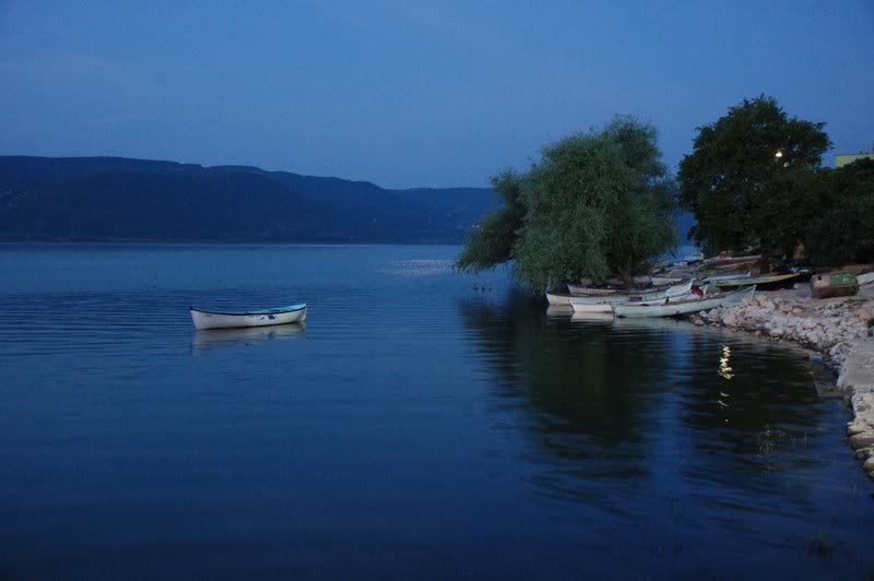 DSC_7951.jpg