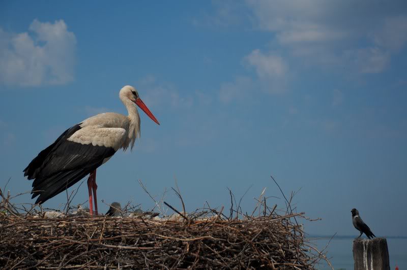 DSC_8156.jpg