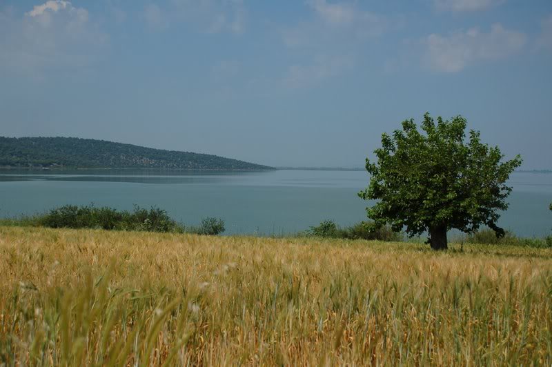 DSC_8200.jpg