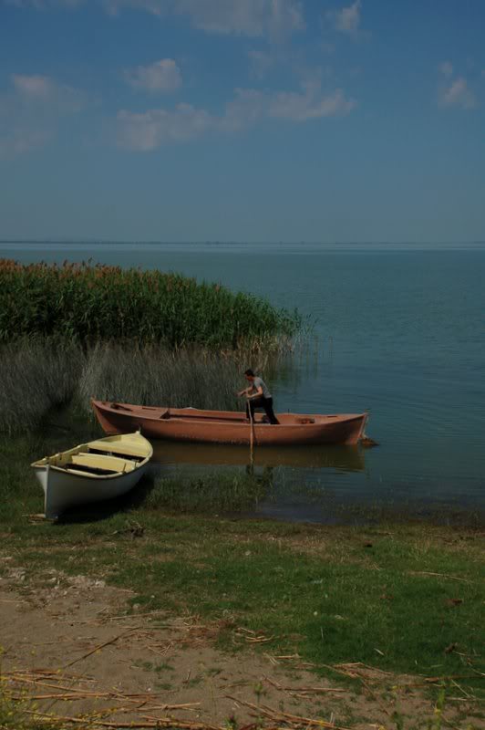 DSC_8201.jpg