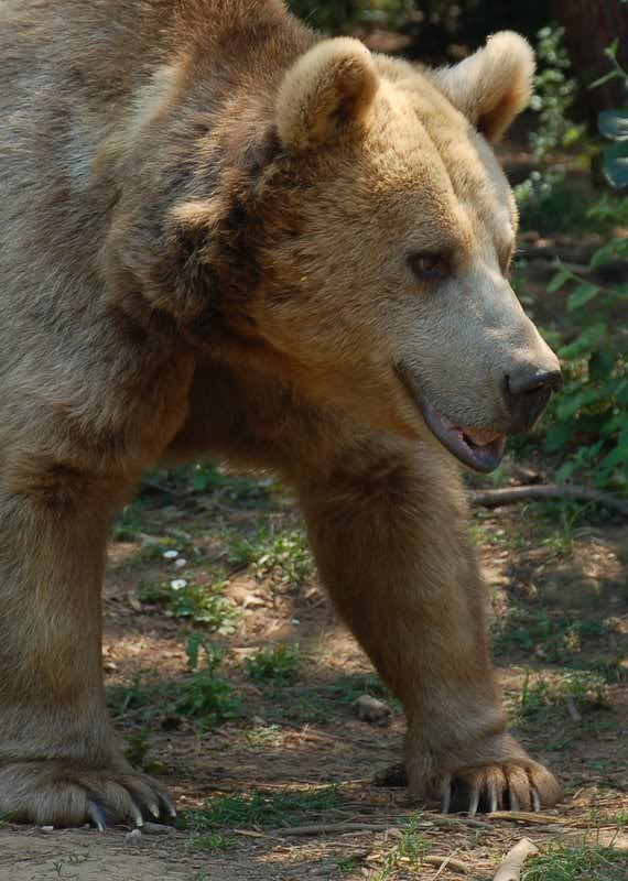 DSC_8238.jpg