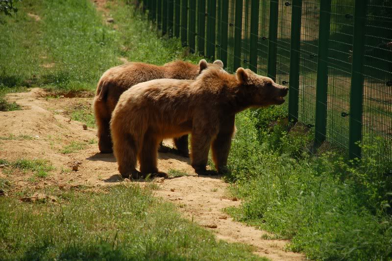 DSC_8246.jpg
