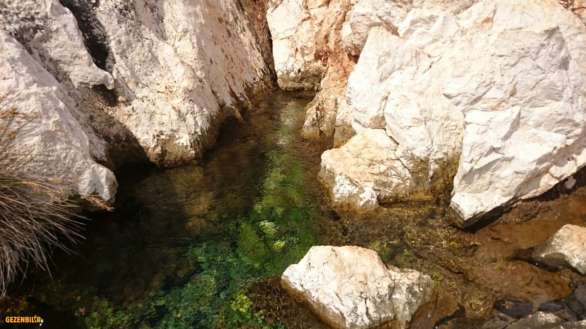 DSC_8299.JPG