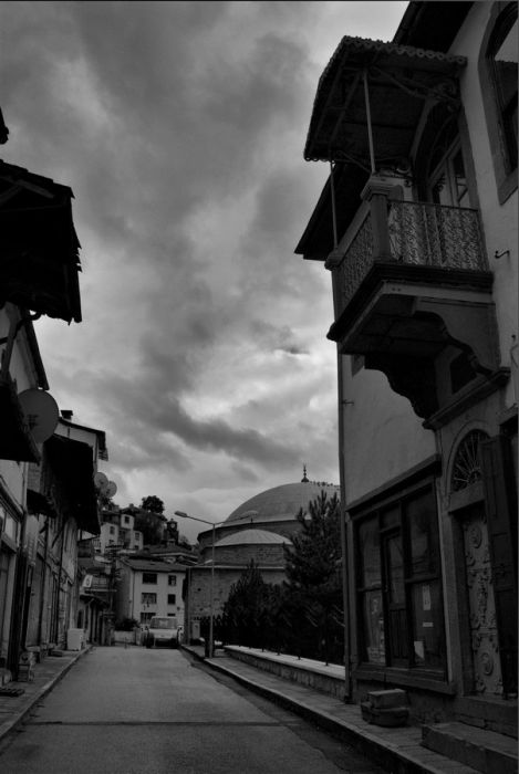DSC_8811.jpg