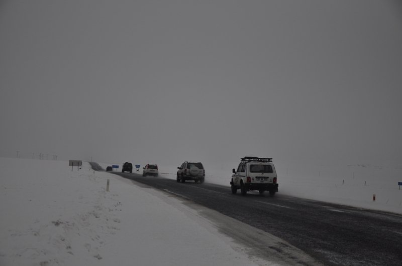 DSC_9835-1.jpg