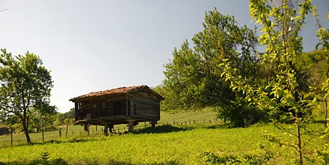DSC_serender.jpg