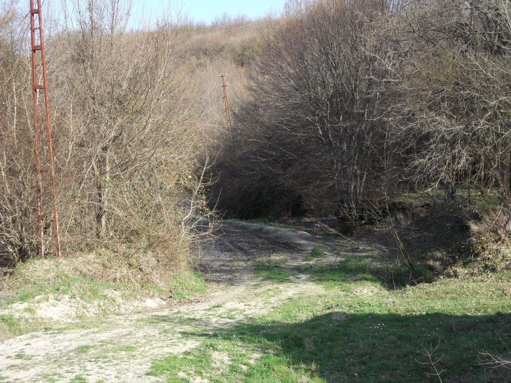 DSCF0037.JPG