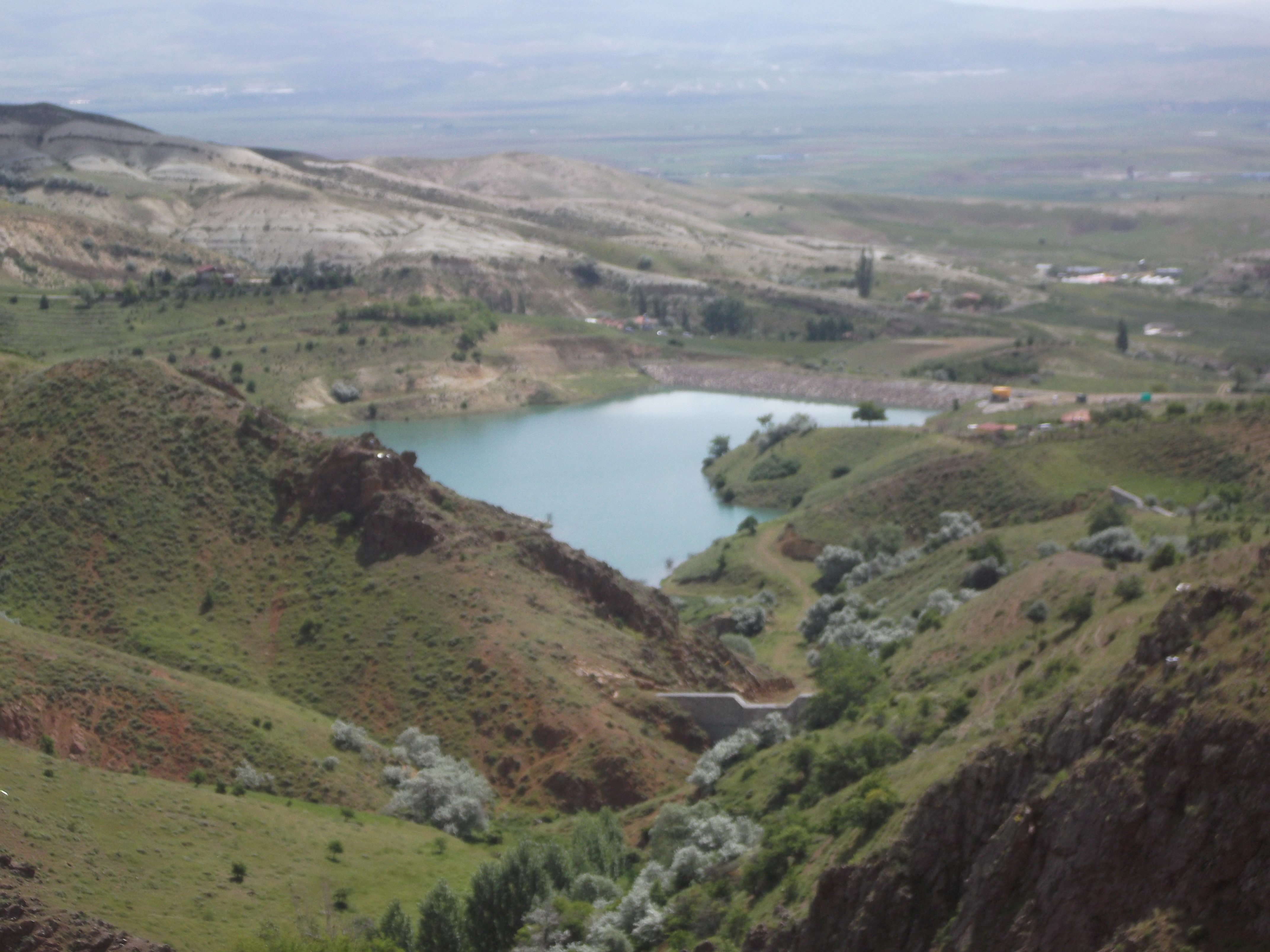 DSCF0090.jpg
