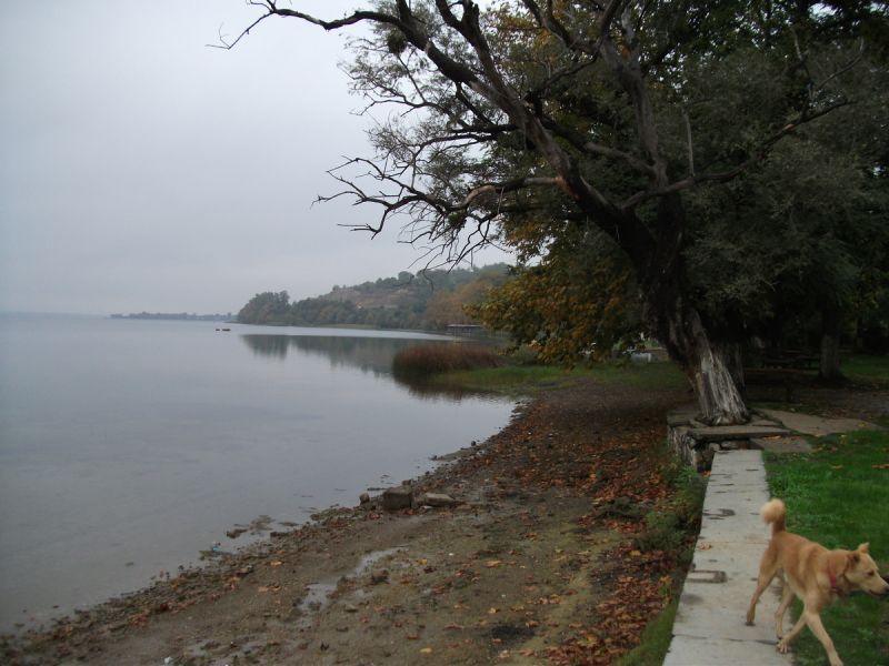 DSCF0113.jpg