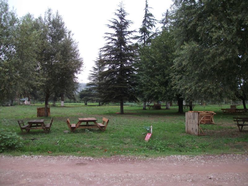 DSCF0114.jpg