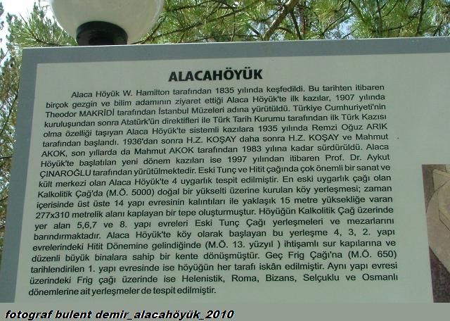 DSCF0208.jpg