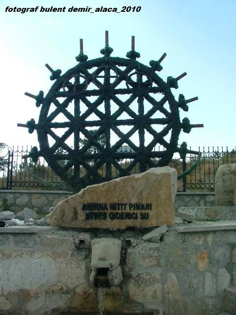 DSCF0232.jpg