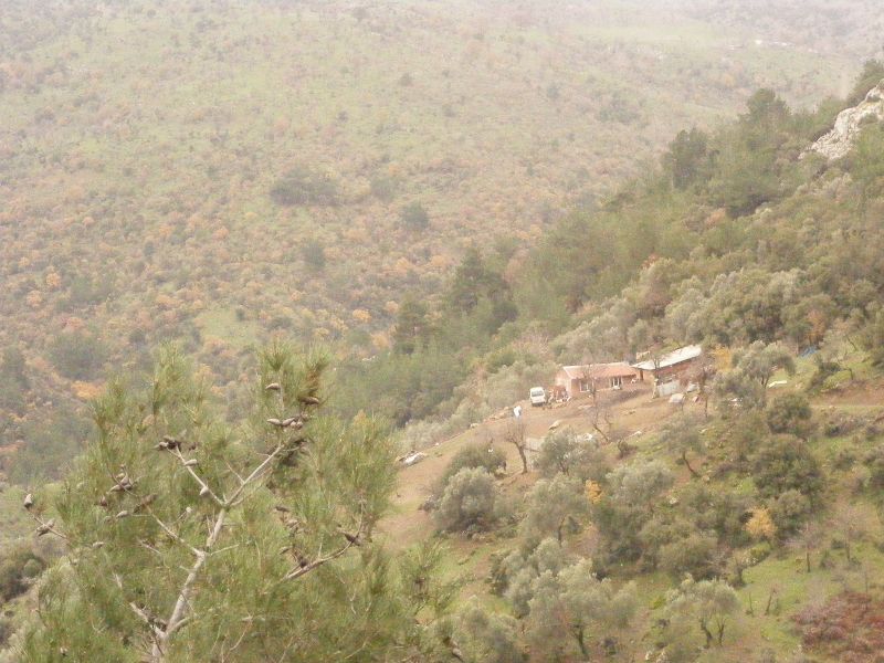 DSCF0403.jpg