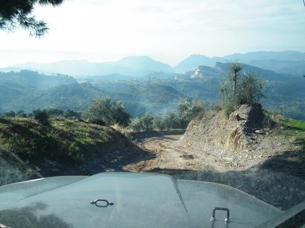 DSCF0491.jpg