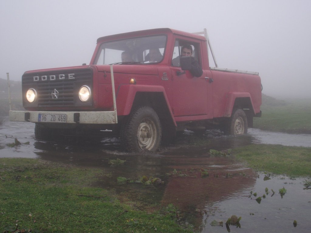 DSCF0499.jpg