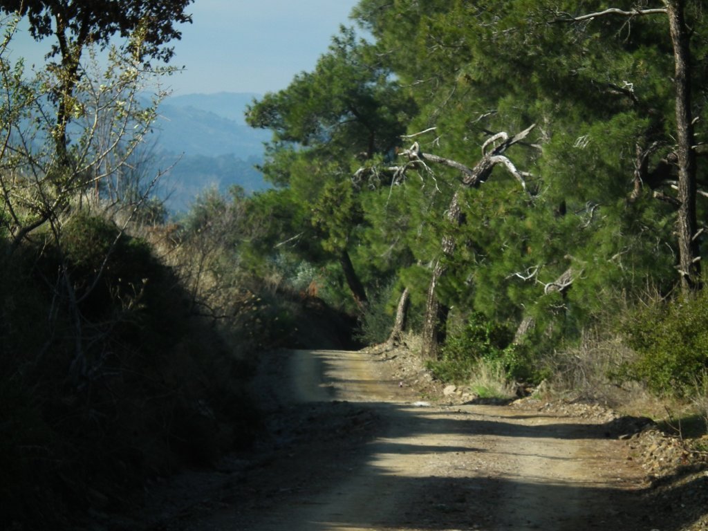 DSCF0500.jpg