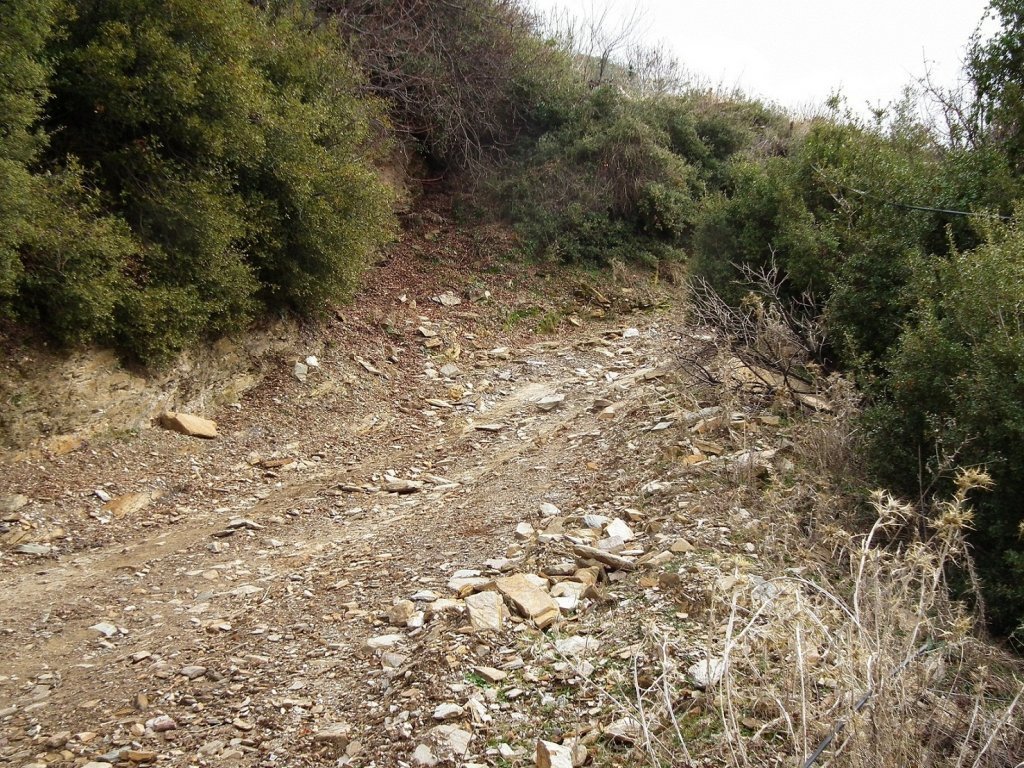 DSCF0535.jpg
