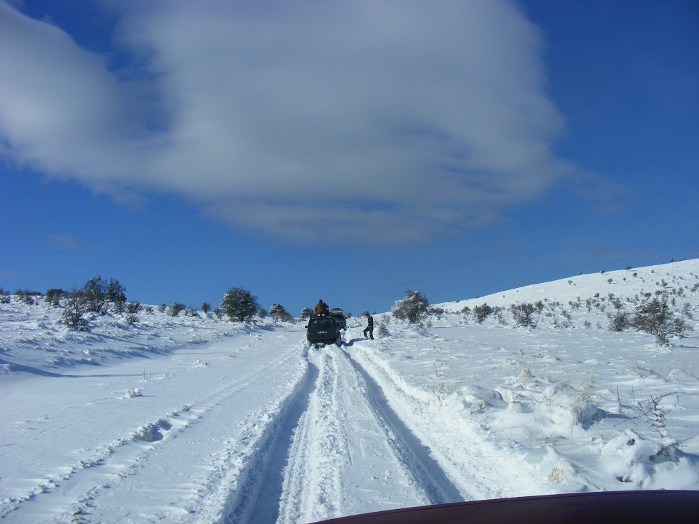 DSCF0538.JPG