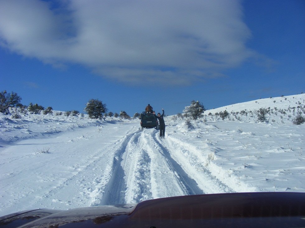 DSCF0539.JPG