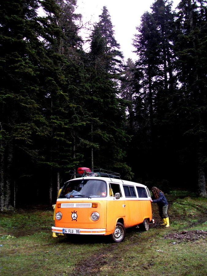 DSCF0540.jpg