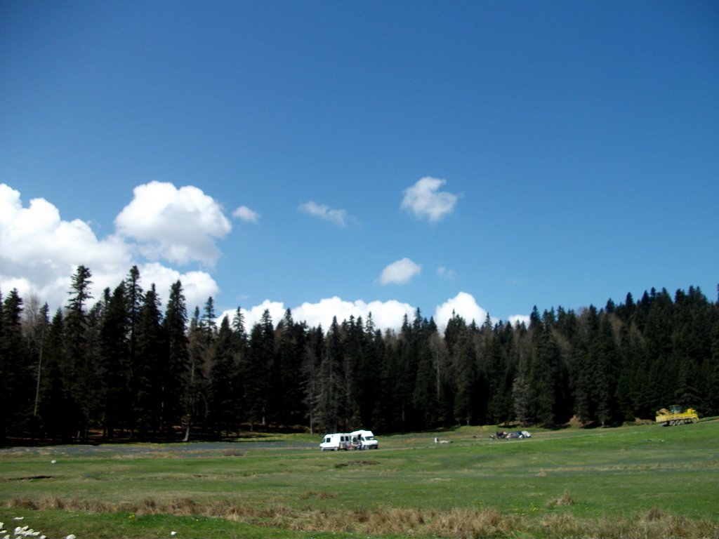 DSCF0570.jpg