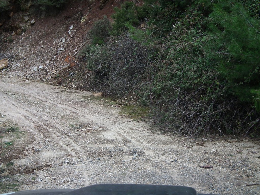 DSCF0573.jpg