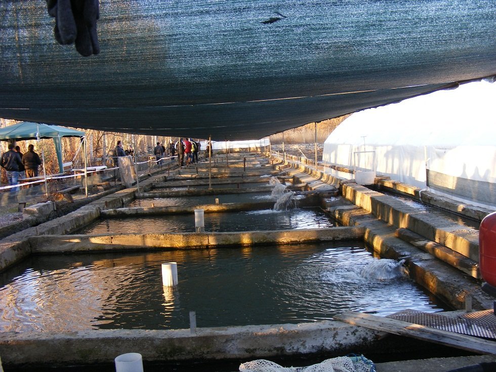 DSCF0580.JPG