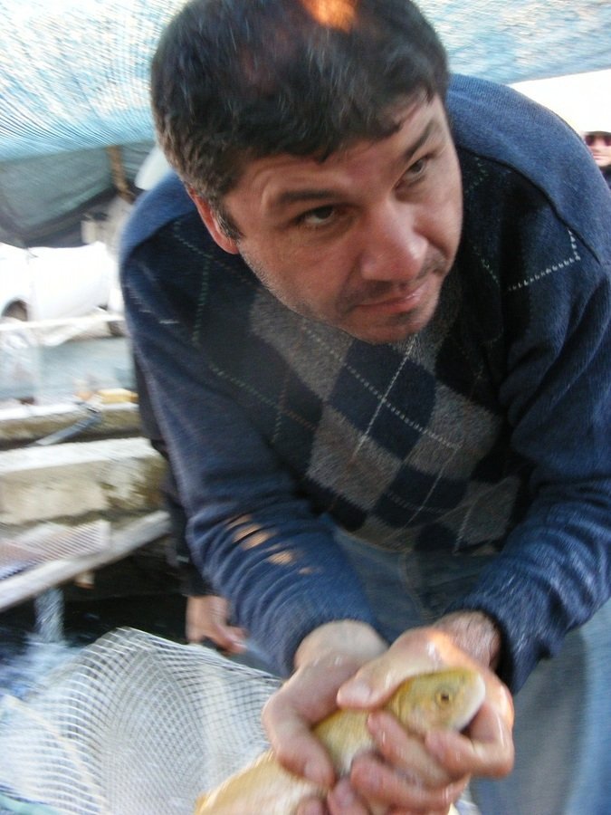 DSCF0583.JPG