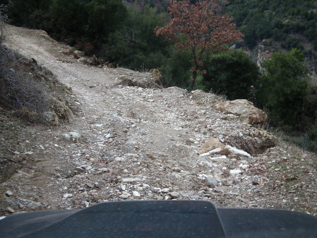 DSCF0584.jpg