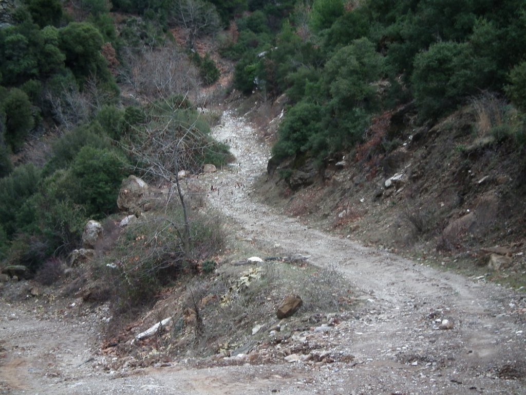 DSCF0589.jpg