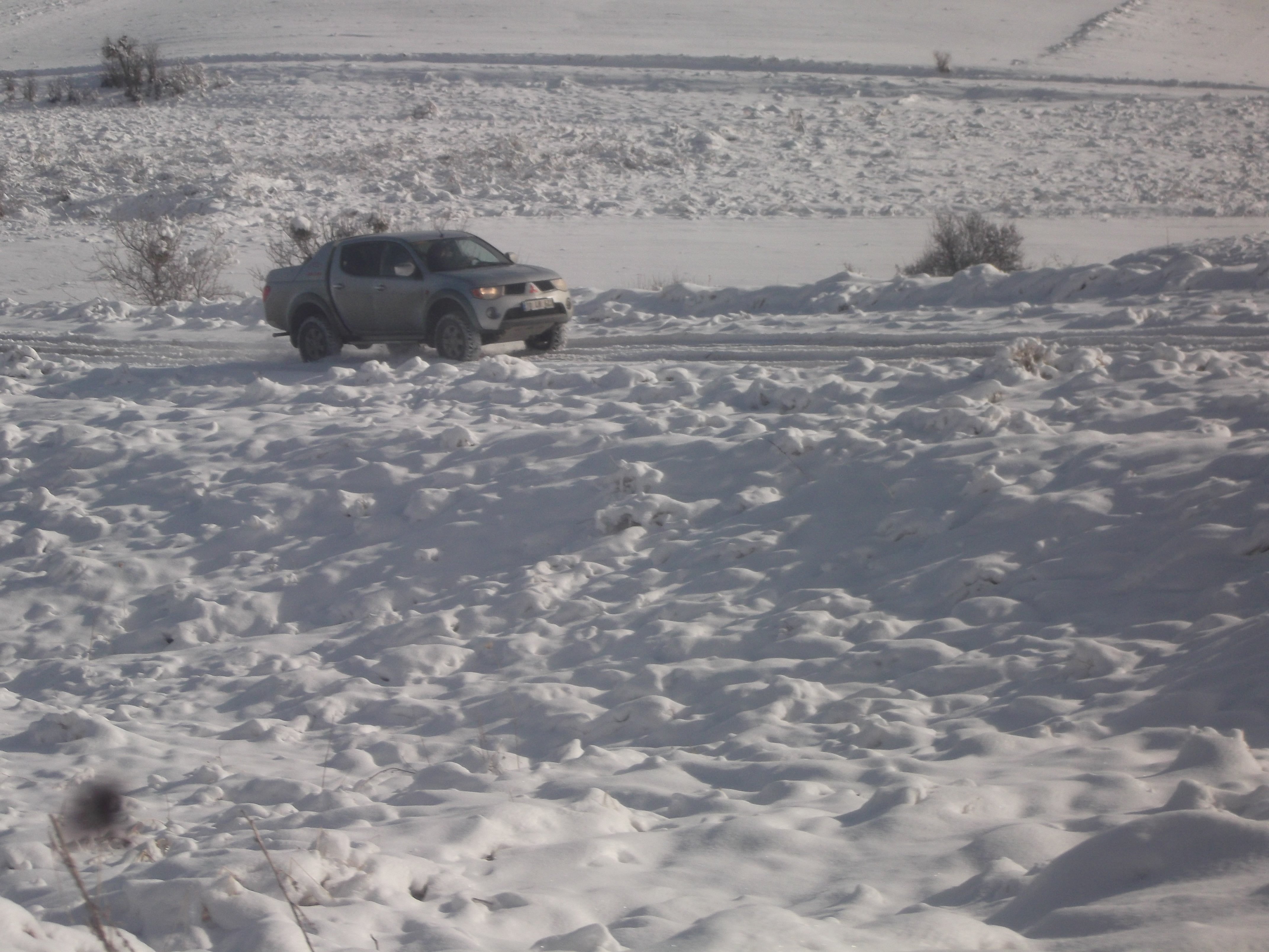 DSCF0731.jpg