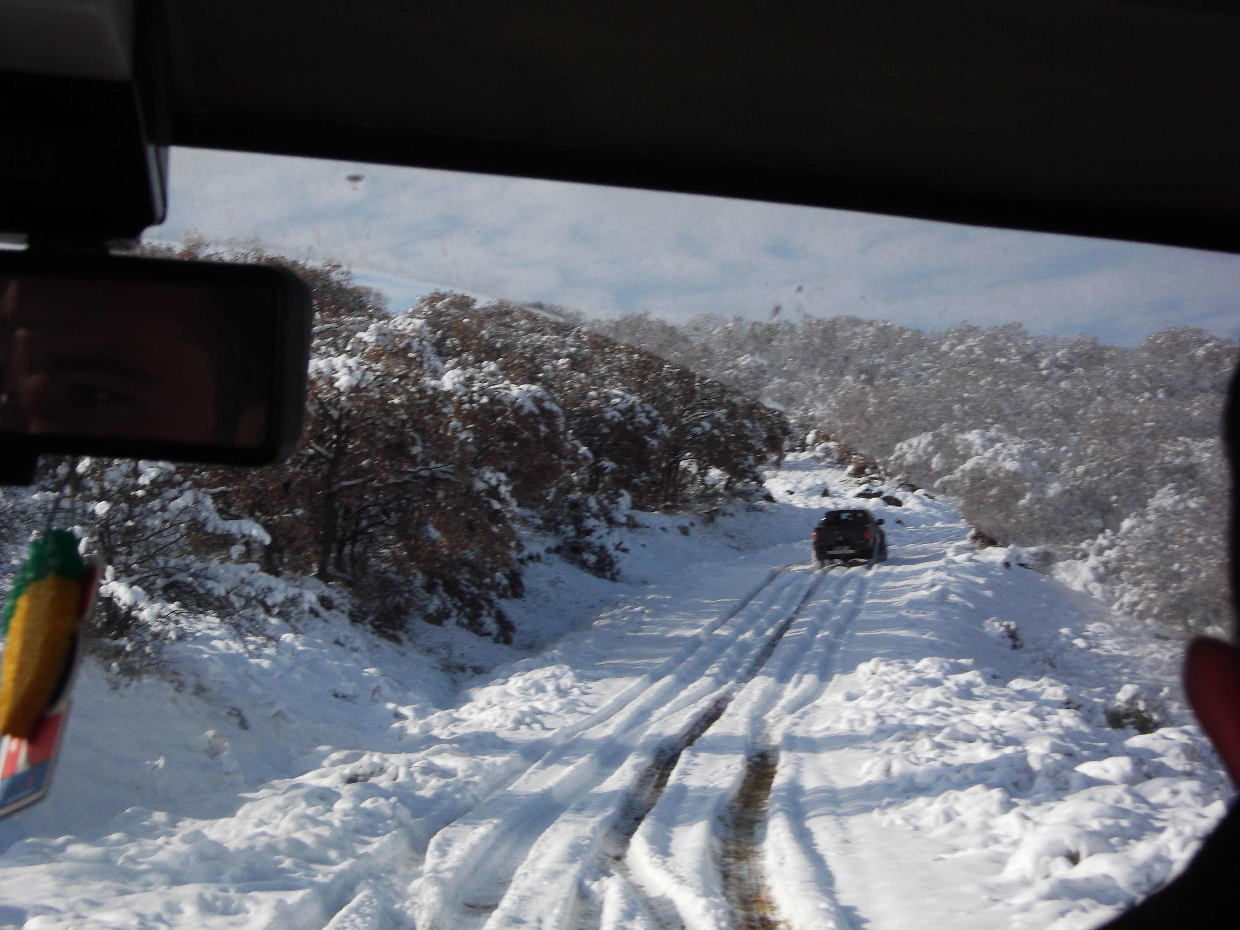 DSCF0732.jpg