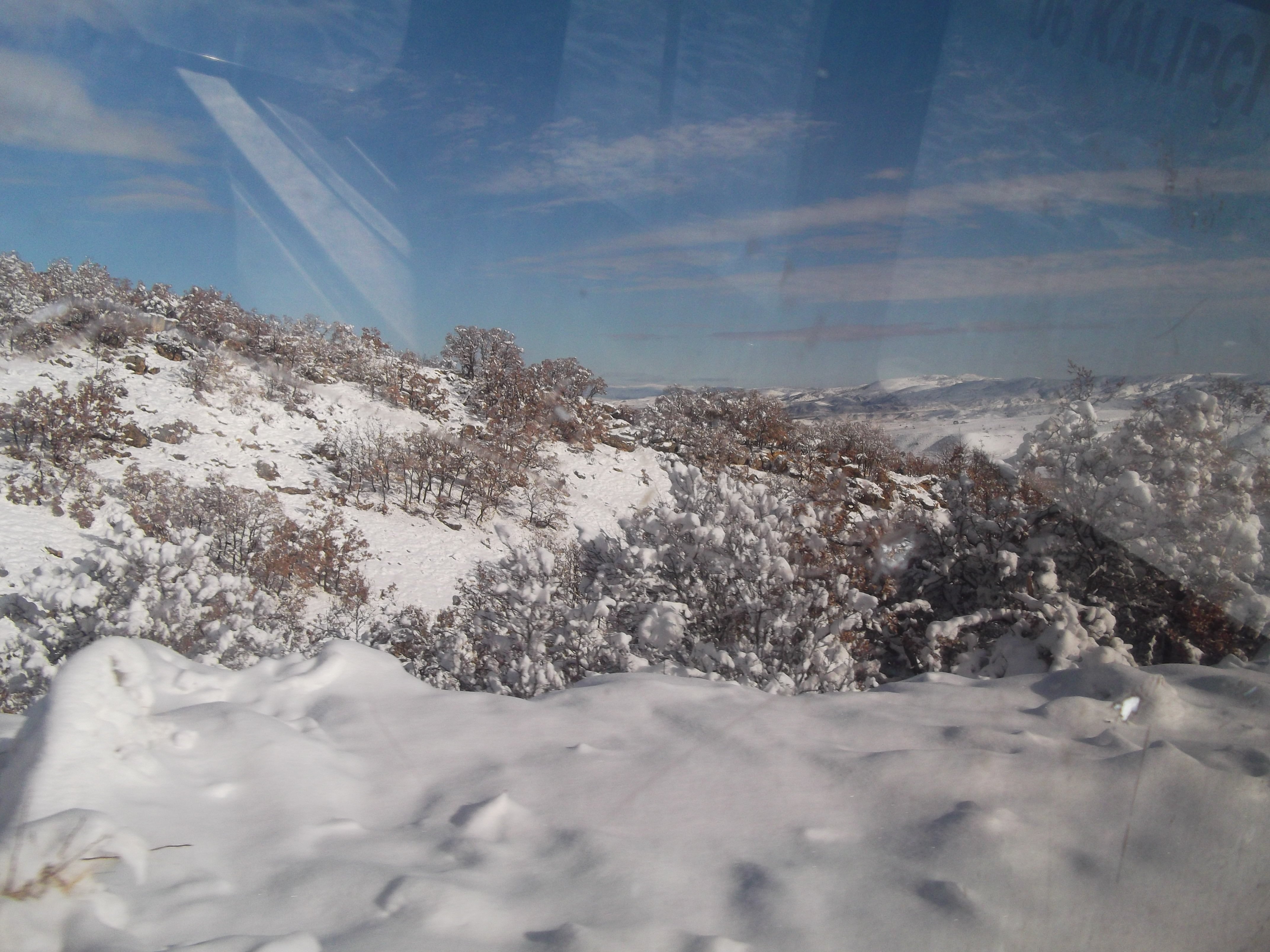 DSCF0735.jpg