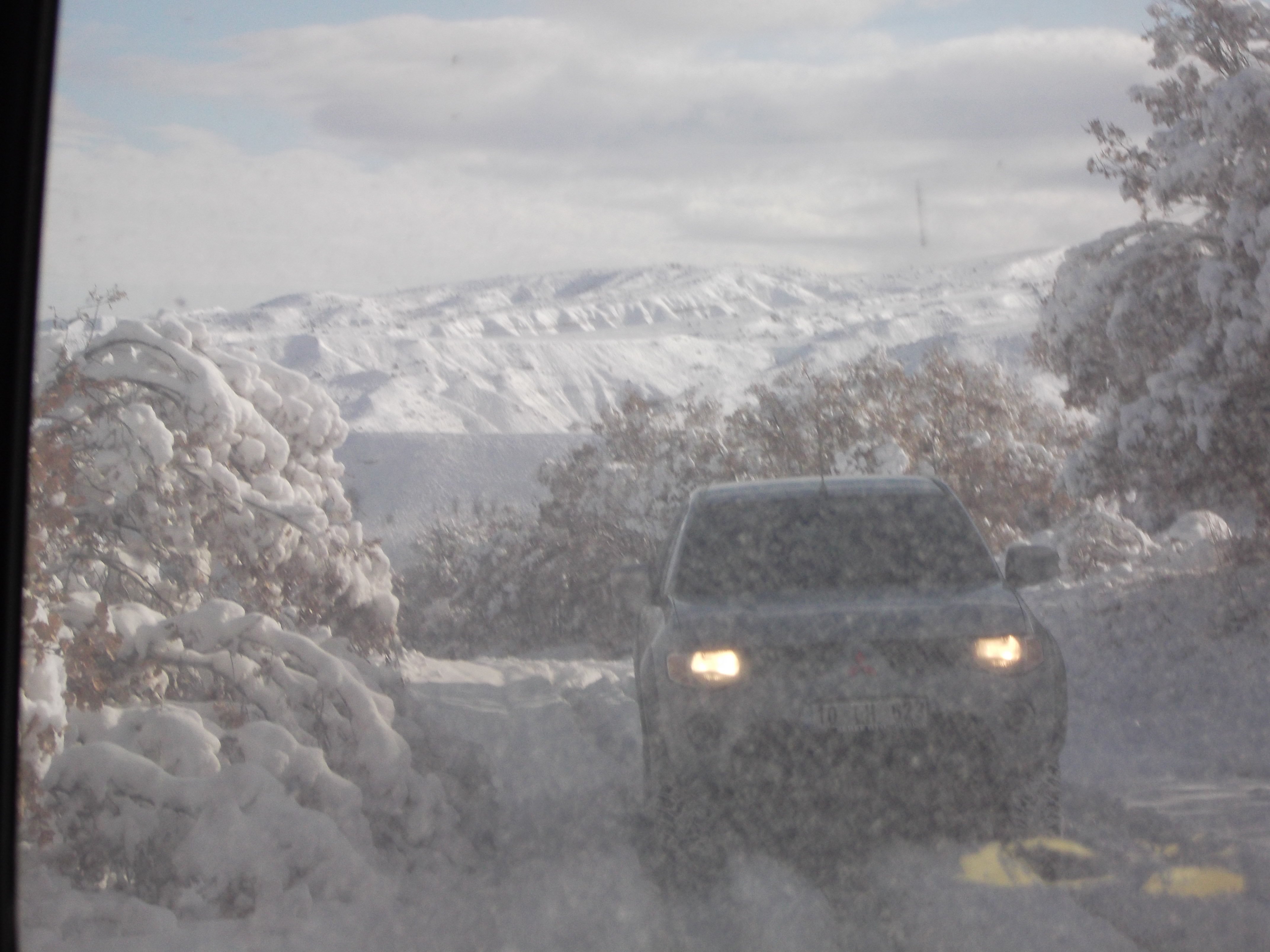 DSCF0736.jpg