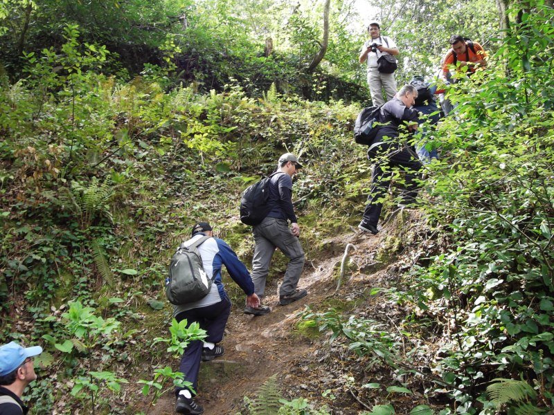 DSCF0744.jpg