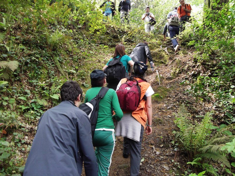 DSCF0745.jpg