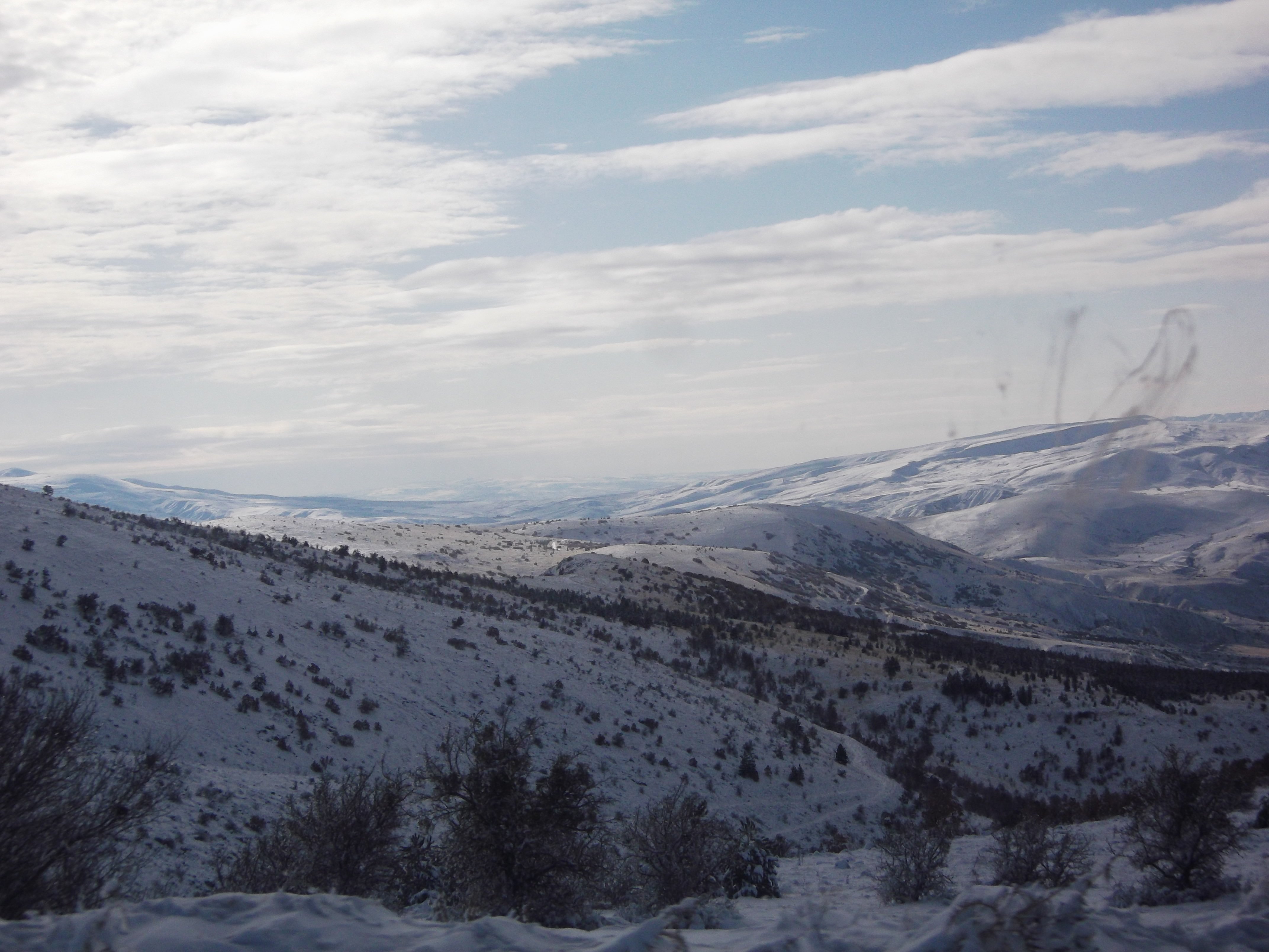 DSCF0746.jpg