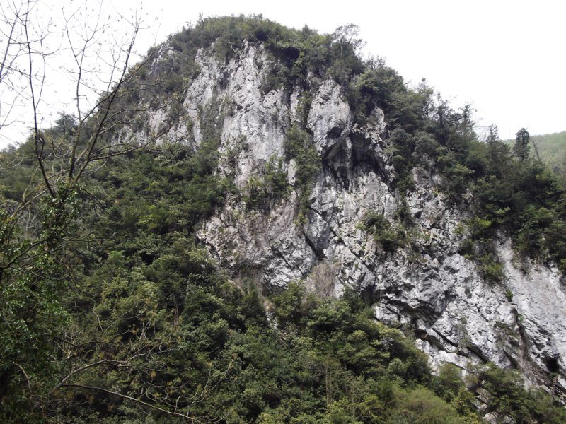 DSCF0752.jpg