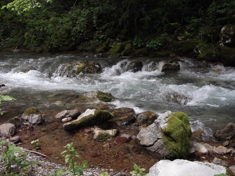 DSCF0782.jpg