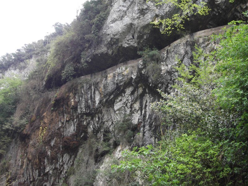 DSCF0788.jpg