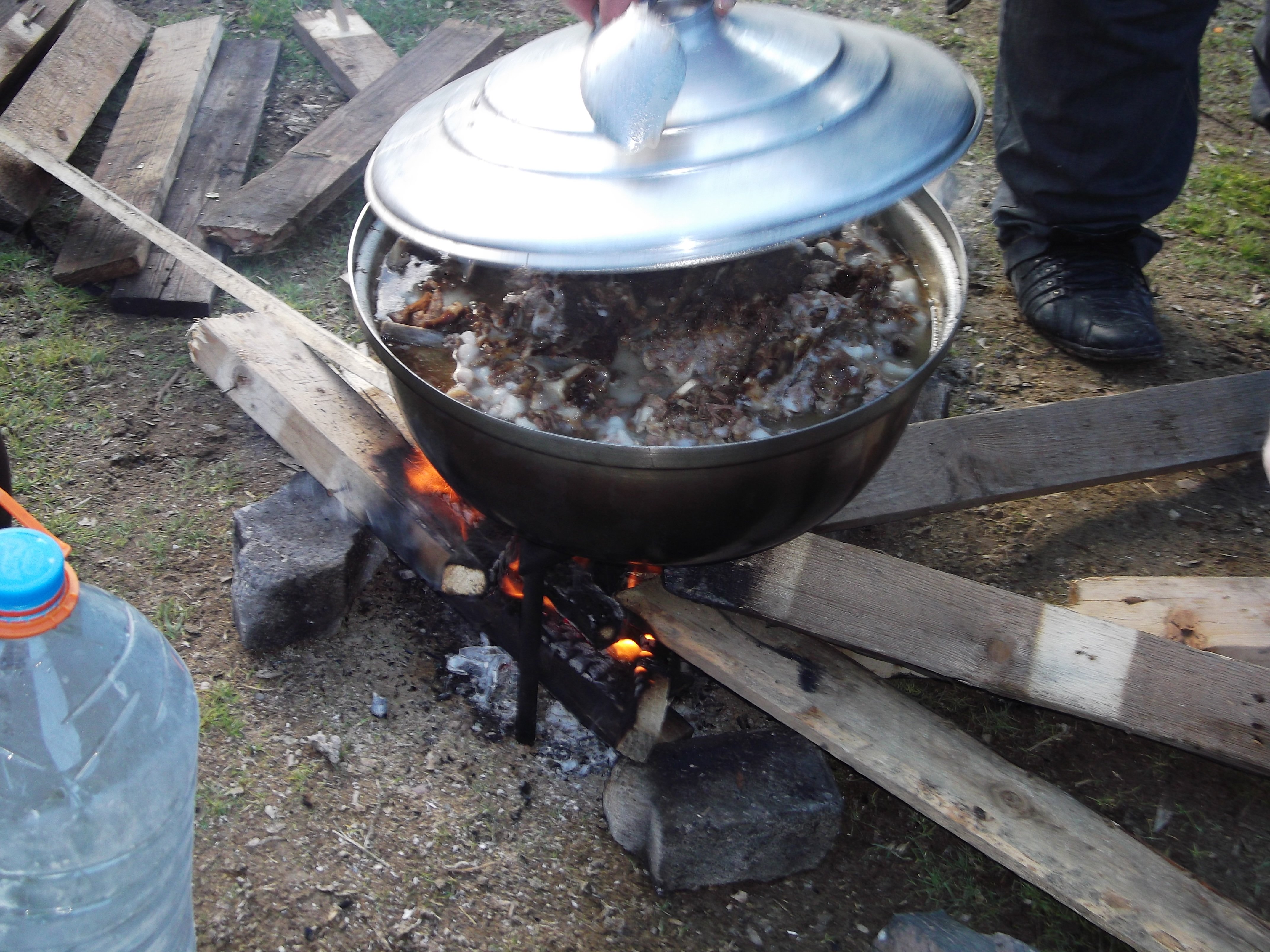 DSCF0808.jpg