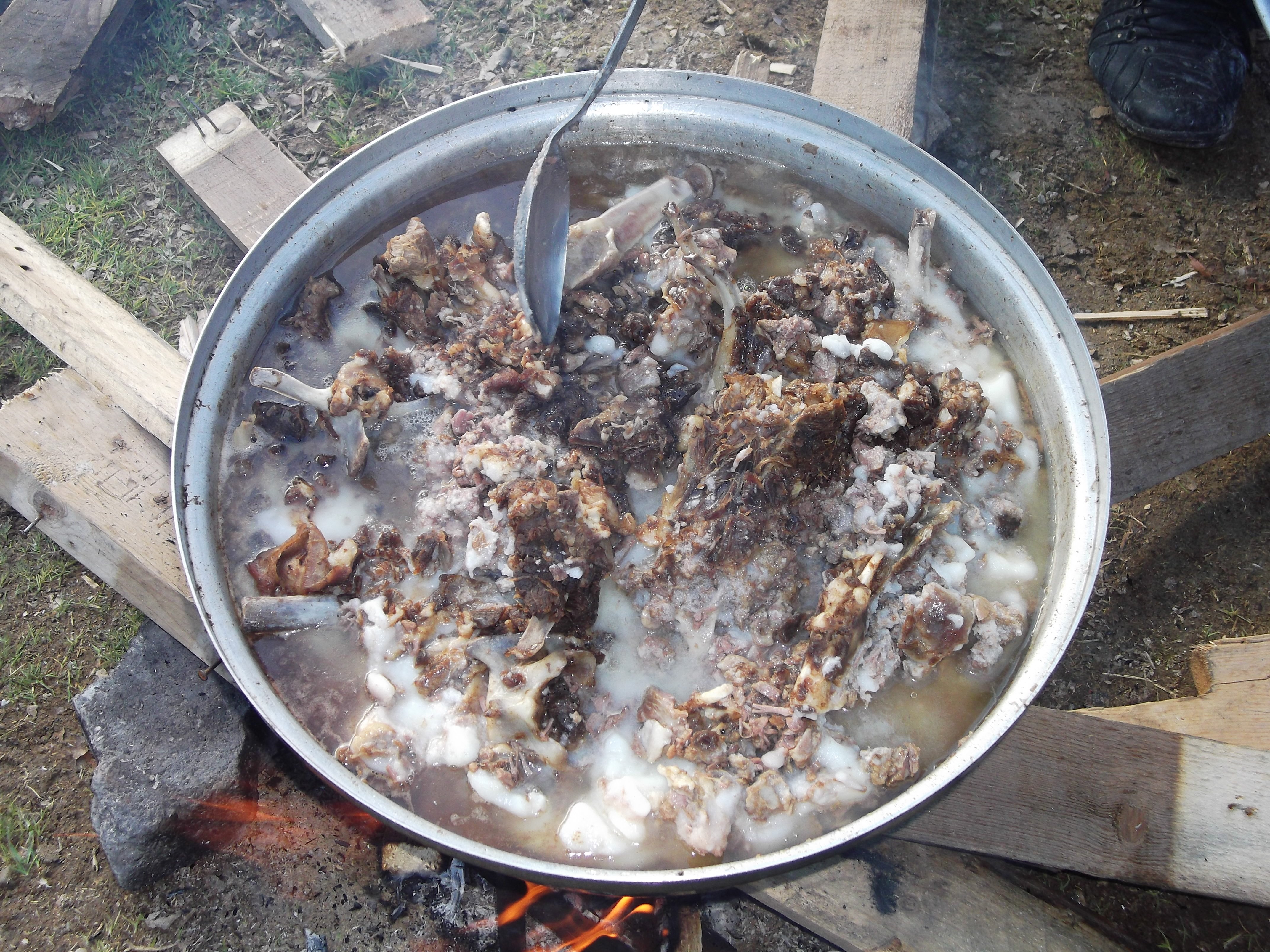 DSCF0809.jpg