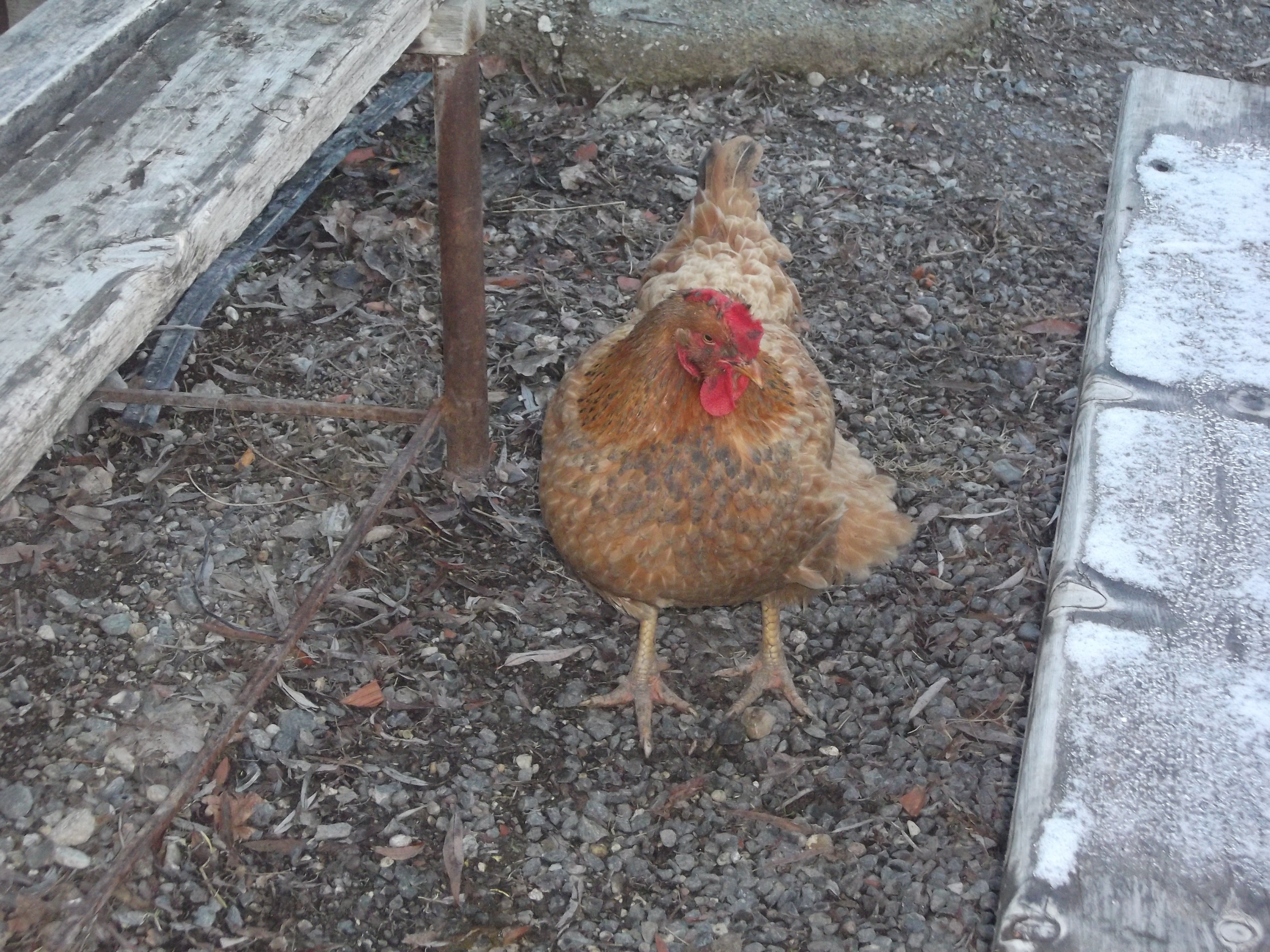 DSCF0841.jpg