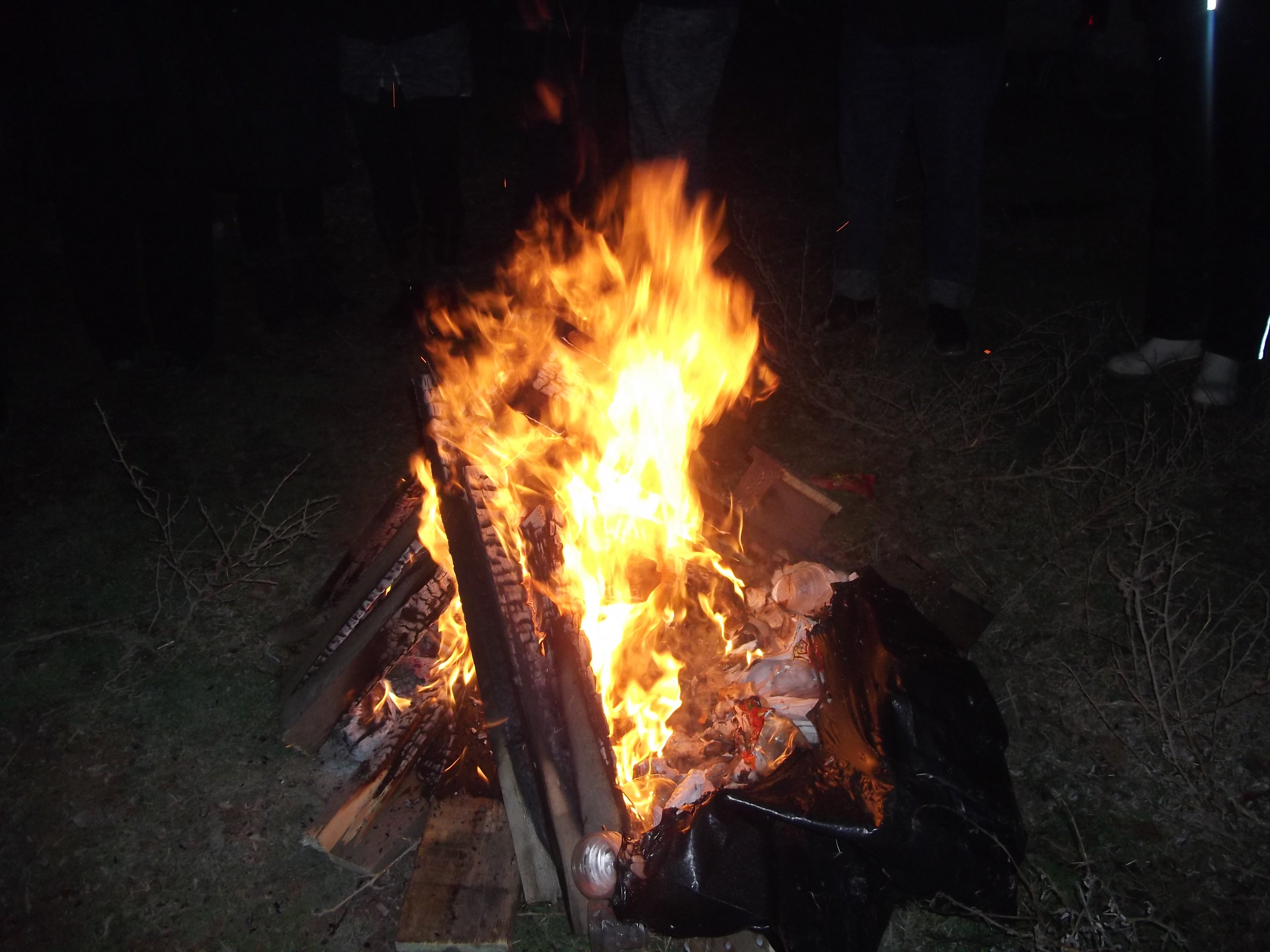 DSCF0876.jpg