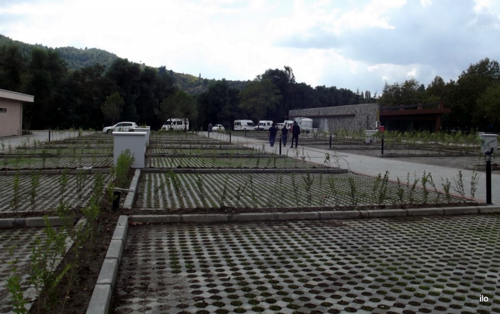 DSCF0915.JPG