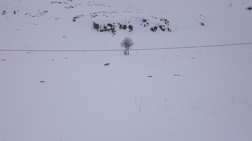 DSCF1151.JPG